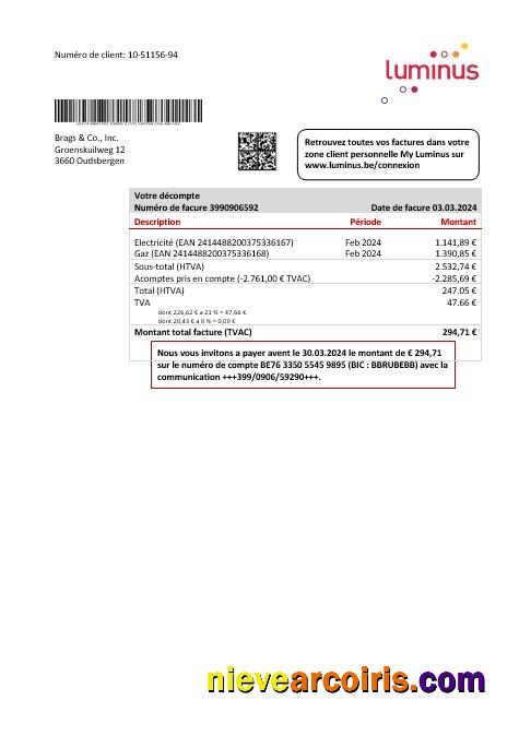 Belgium Luminus business utility bill